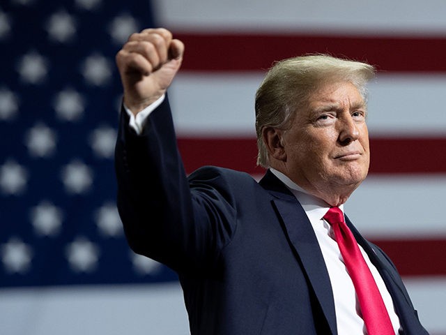 Trump with his fist raised at a rally